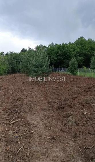 Teren 603 mp lângă pădure în Micești | Ideal pentru cabană | 15.800 € - 2