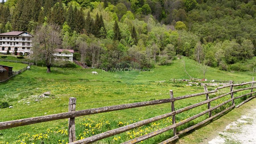 Intravilan | 10.000 mp| Sătic-Rucăr | Acces facil | Potențial excelent - 3