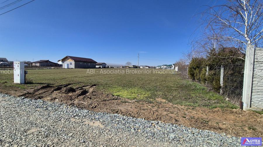 Teren de Casa 2480 mp cu utilitati- Oras Magurele - 5