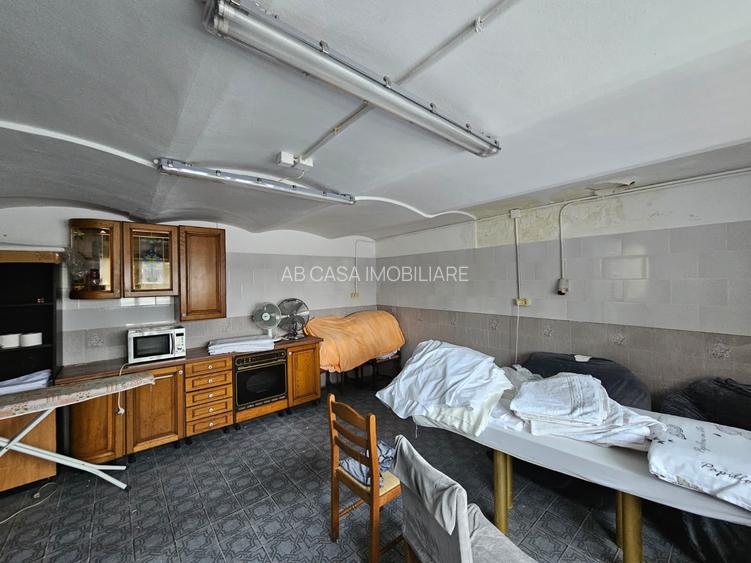 Casă individuală deosebită, P+D, Timișoara, zona Lipovei, aproape de Iulius Mall - 19