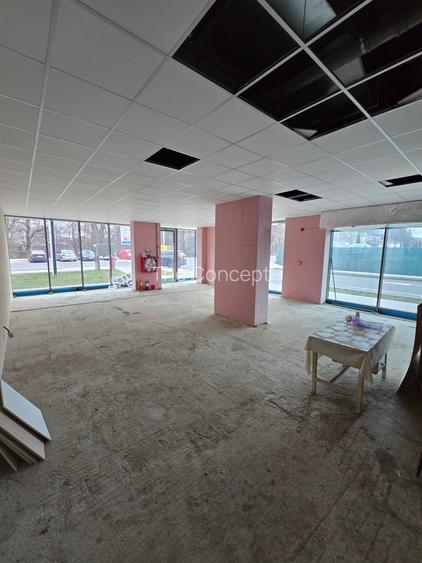 Spatiu Comercial pe Bld. Victoriei vizavi de Parcul Sub Arini - Hotel Mercure - 8