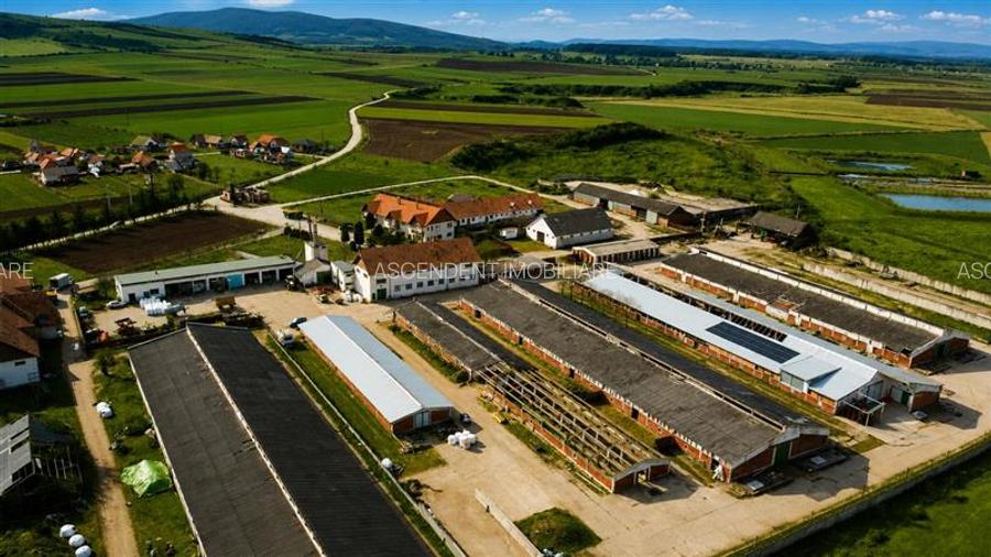 FILM! +25.400mp teren+Complex agrozootehnic cu traditie, accesorizat+ potential - 17