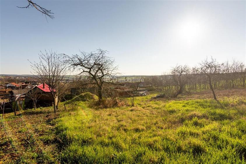 RECO. CASA LA ROSU , CETARIU - 15