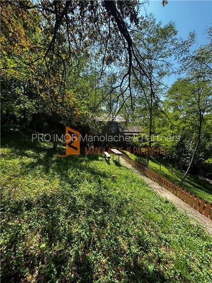 Ansamblu cabanute zona Cozieni - 32