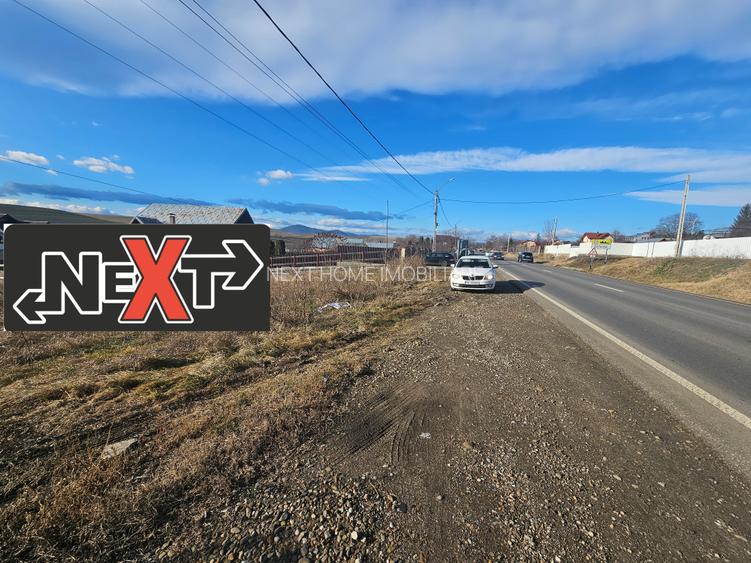 Teren Turturesti la strada principala - 3