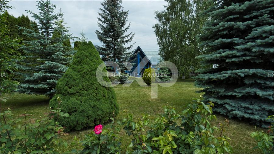 Proprietate industrială cu vizibilitate DN13 – Hală, birouri și teren 6.250 mp - 7