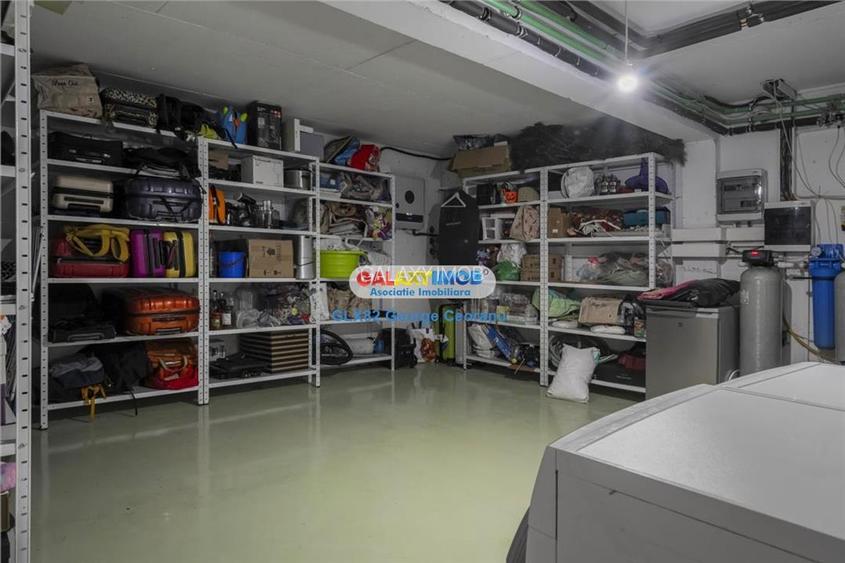 Vanzare vila individuala, curte mare, piscina, Berceni Macului - 22