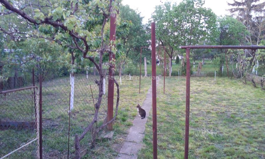 Vânzare casă: 146 mp locuibili / suprafață totală 560 mp - 8