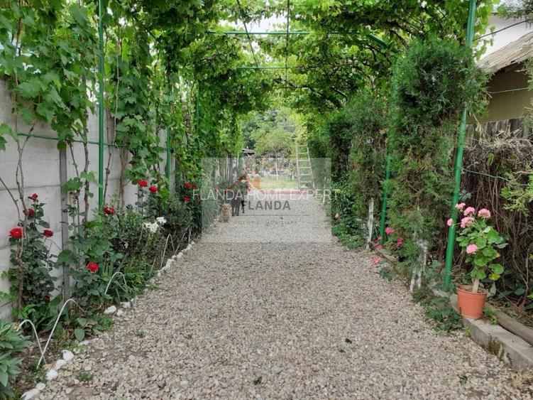 Vanzari Case / vile Giurgiu - 3