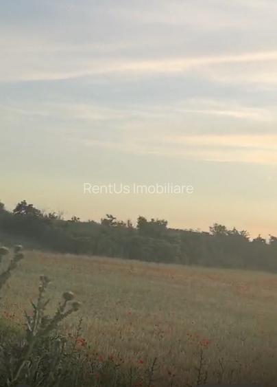 Teren Constructii | 5500 Mp | Calarasi - Granita cu Ilfov | Posta - Fundeni - 2