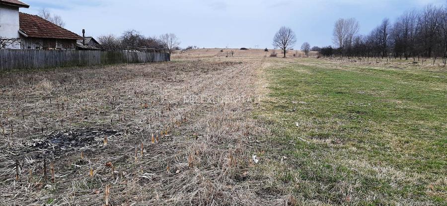 TEREN INTRAVILAN SI EXTRAVILAN POLOVRAGI - BENGEASCA - 5