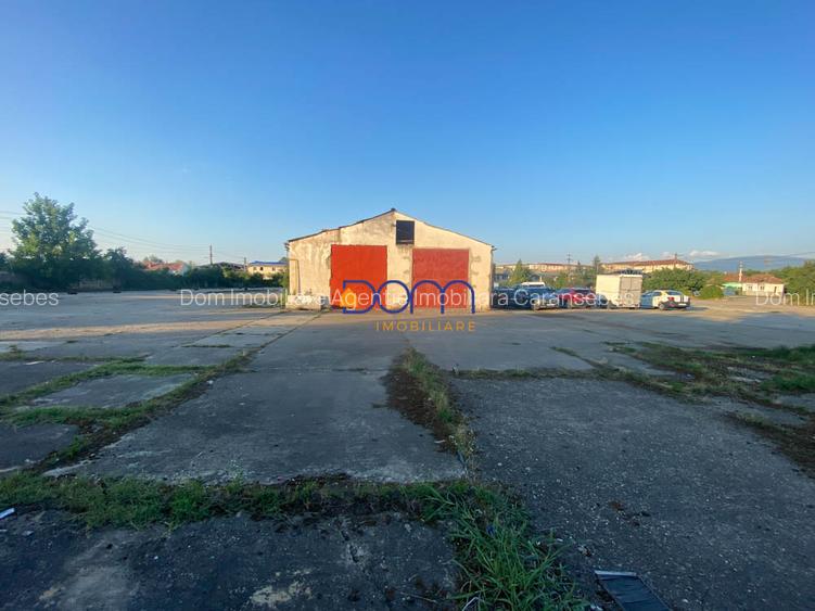 Teren intravilan 21. 700 mp, ideal dezvoltare imobiliara - 7