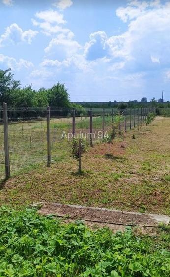 Casa Prahova Comuna Buchilas | 2.800 MP TEREN | Zona Verde | Padure - 12