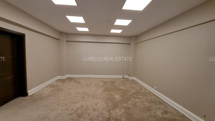 SPATIU BIROU- CLADIRE BIROURI PREMIUM - 13