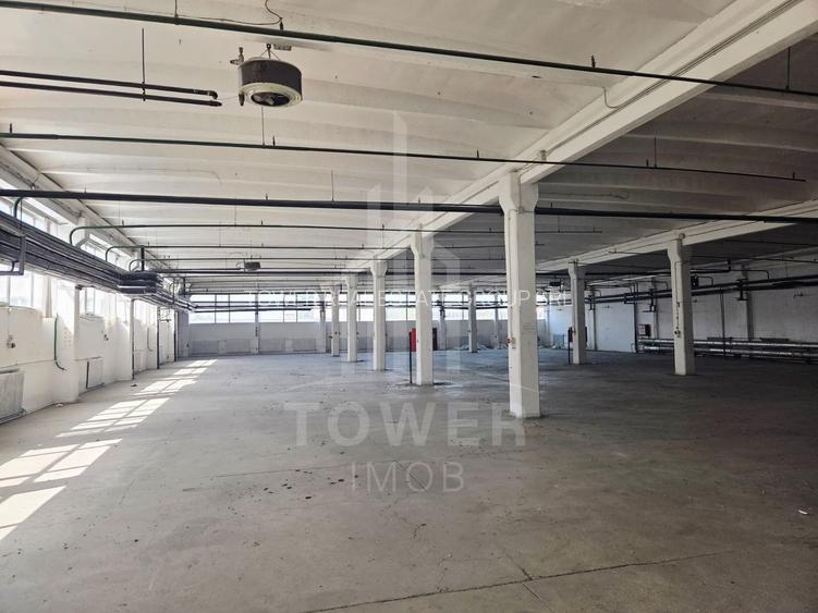 Hala generosa de închiriat . - 3