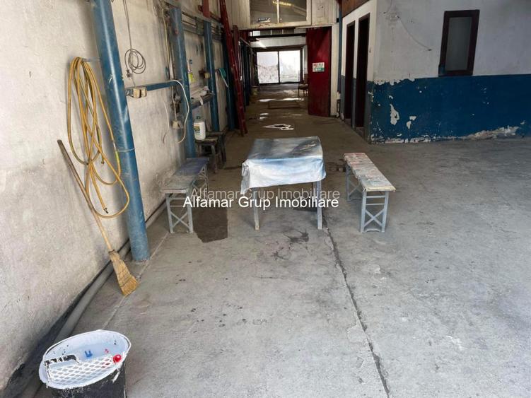 Vanzare Teren Soseaua Giurgiului- Luica - 10