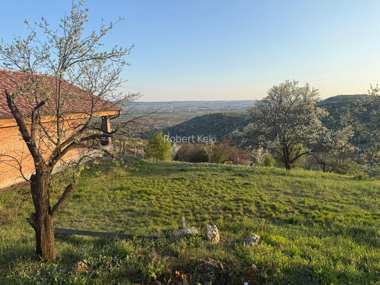 Teren intravilan de vânzare – Gheorghe Doja | Panoramă superbă - 2