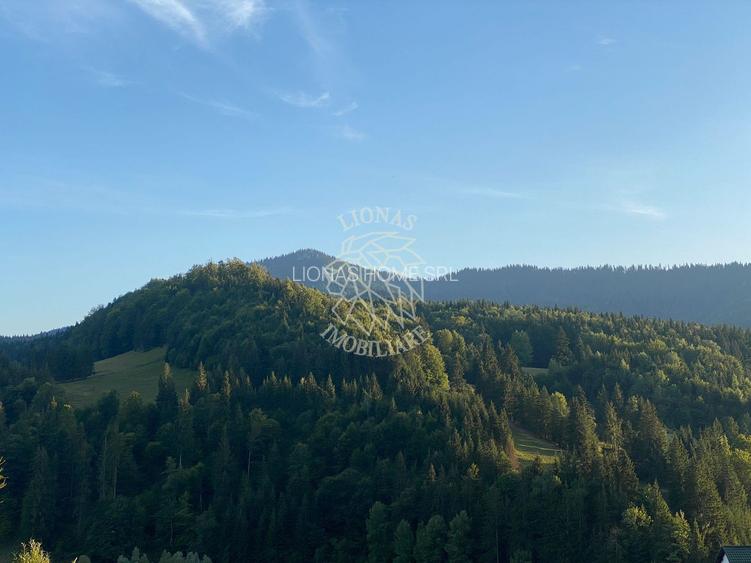 Teren Intravilan 1000mp-panorama-oportunitate investitie-Colibita - 4