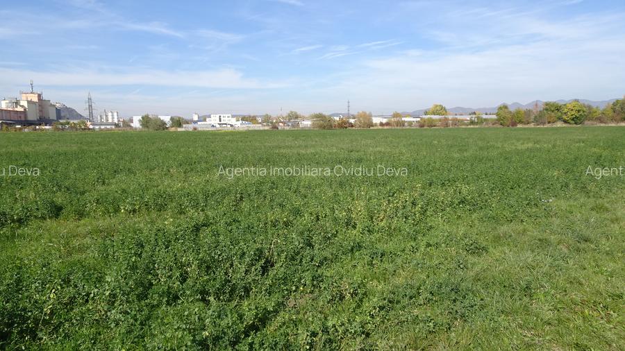 Vand teren intravilan in Deva suprafata totala 43 000 mp, zona Auchan - 6