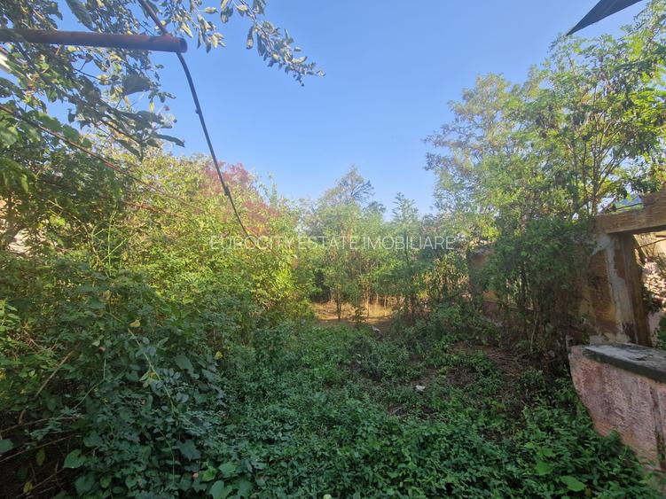 Cornetu stradal, vanzare teren intravilan 1.600mp - 8