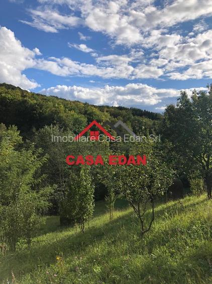 Teren extravilan in Brebu(Pietriceaua)--9104mp--50.000e - 5