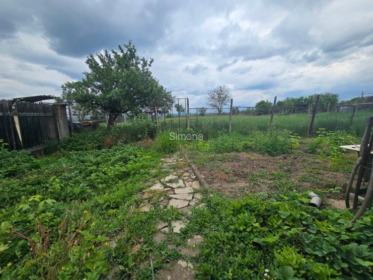 Aproape de Marginimea Sibiului, casa in inima unui parc - 15
