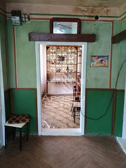 Casa batraneasca de vanzare, 4 camere, in Hunedoara, sat Micanesti - 46