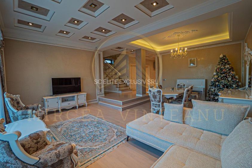 Palazu Mare/ Elvila - Casa de poveste pentru familia ta - 3