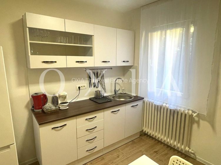 AX1179 Take Ionescu, Renovat Integral, Bussiness Activ - 5