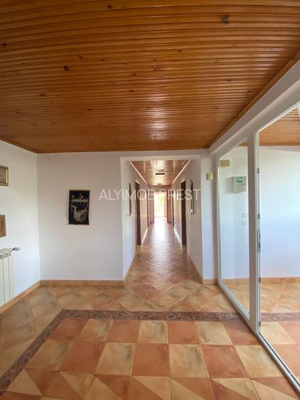 Domeniu Privat - Rosu/ Chiajna - Ilfov - 16