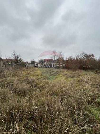 Teren 1,200mp si 400m2 cota drum Satu Nou de Jos / Strada Principala - 6