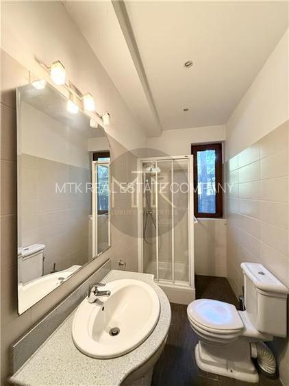 Vila Individuala Spectaculoasa cu Piscina, Erou Iancu Nicolae-Pipera - 17