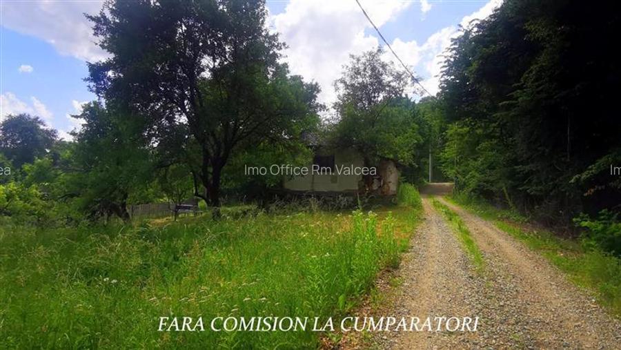 DEALUL MALULUI, TEREN 1500 MP INCONJURAT DE PADURE - 5