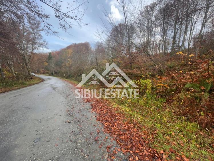 Oportunitate de investiție – Teren pentru hotel / pensiune pe Valea Avrigului - 7