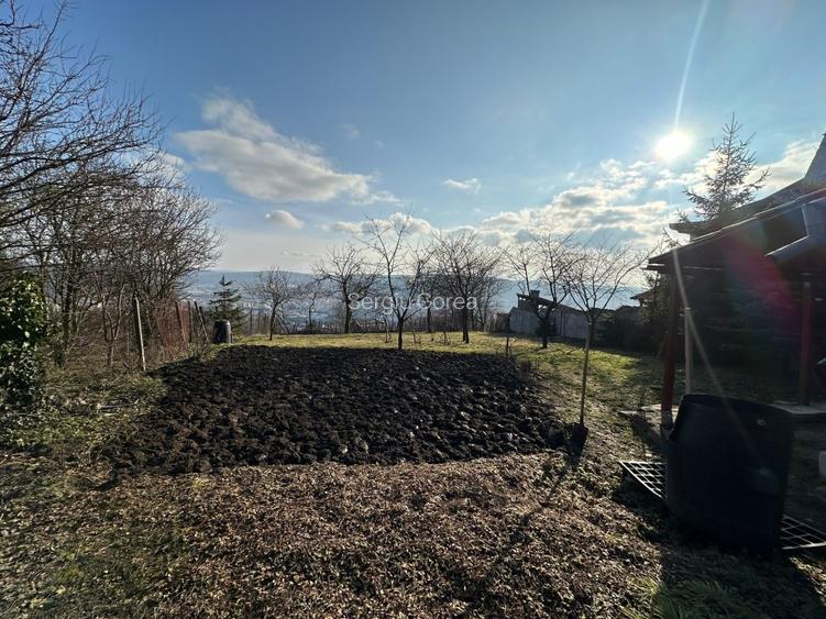 Vand Casa PLATOUL Cornesti str. CORNESTI- teren 1150 mp - 6