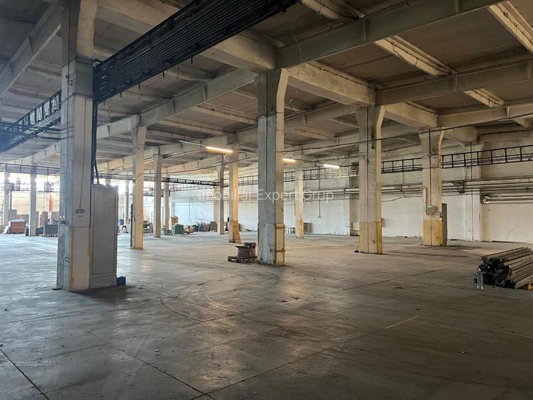 Hală industrială 3.600 mp cu acces cale ferată – Buftea - 4