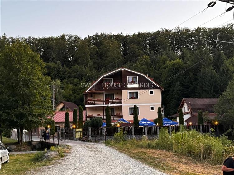 Oportunitate de investitie Cabana Cartisoara Zona Turistica - 25