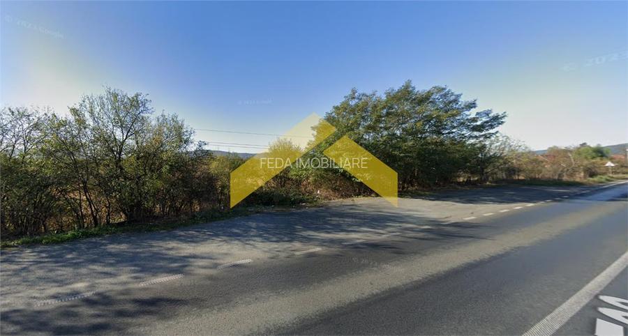 Teren 4000 mp intravilan de vanzare localitatea Barzava - 3