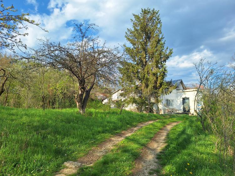 Moșia boierească din vârf de deal, Scorțeni - Prahova, comision 0% - 2