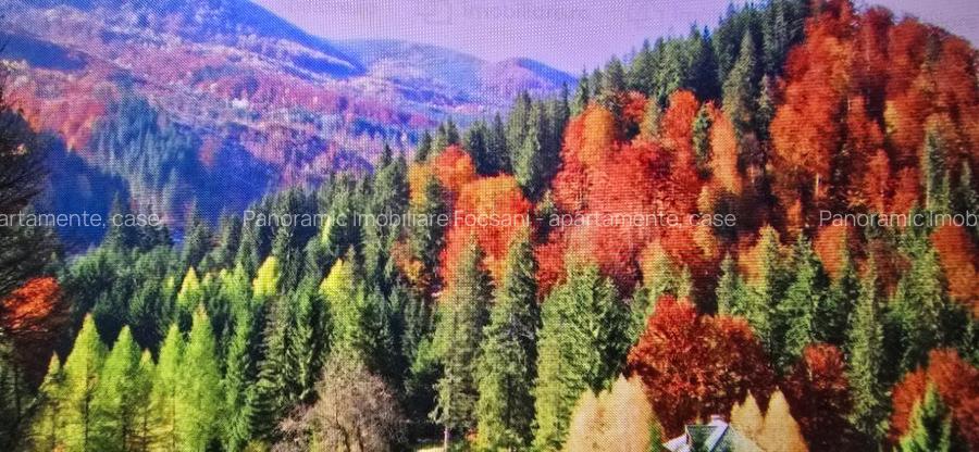 Teren de vanzare Lepsa-Gresu, 57000 mp, cu doar 1 euro/mp - 8