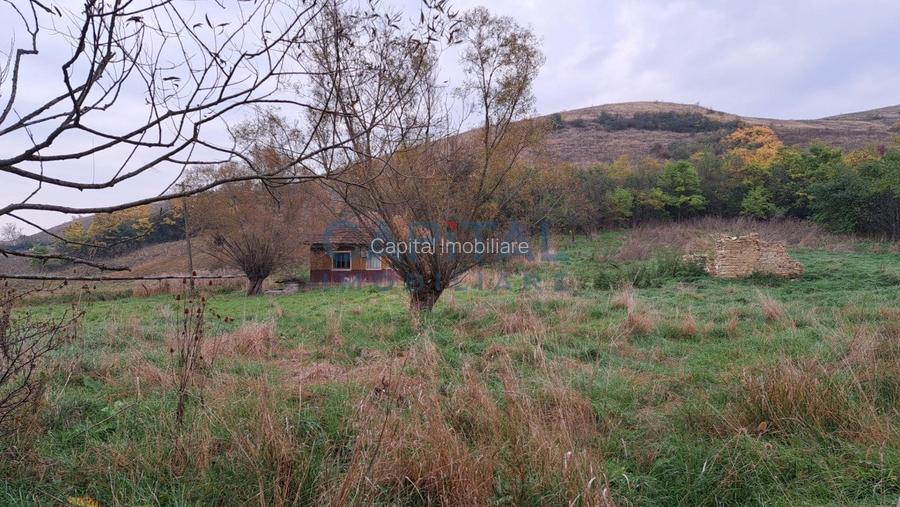 Teren plan 4800 mp cu casa demolabila, centru Corpadea, Apahida - 8