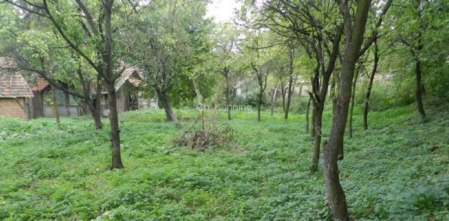 Casă de vânzare în Calnic, Alba  - 12