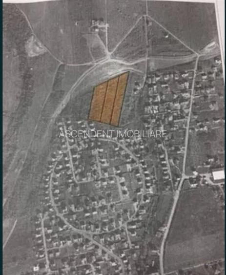 FILM!Oportunitate: 8.500mp, recomandat investitional/dezvoltare,Livezeni, Mures - 16