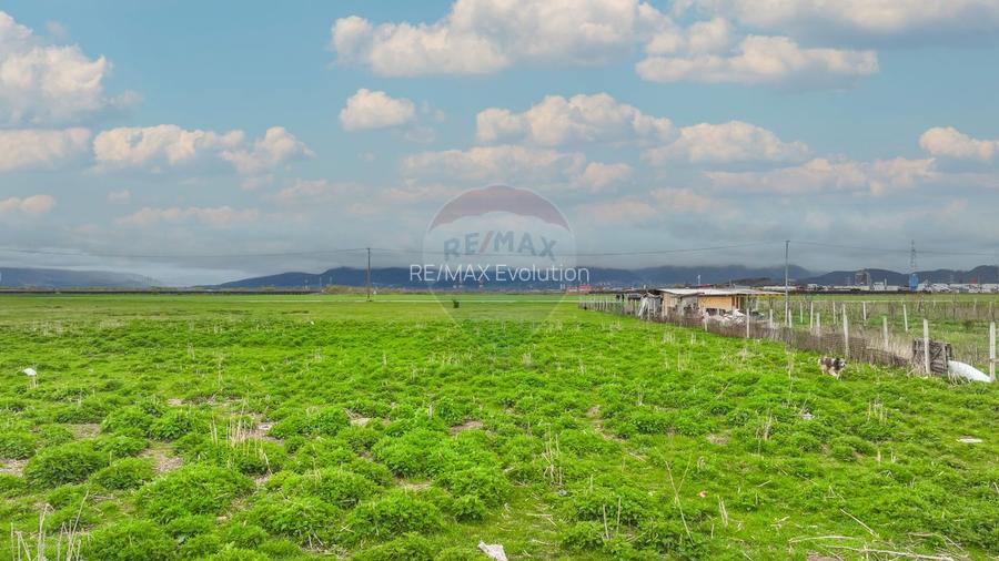 COMISION 0% | Teren intravilan hale producție/depozitare | Brașov - 12