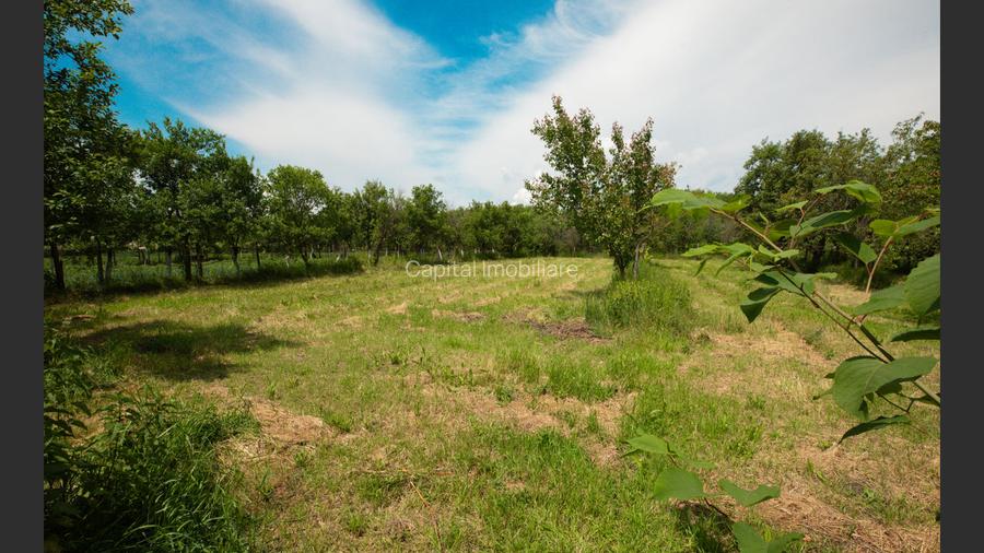 Casa de familie in zona rurala linistita - 6
