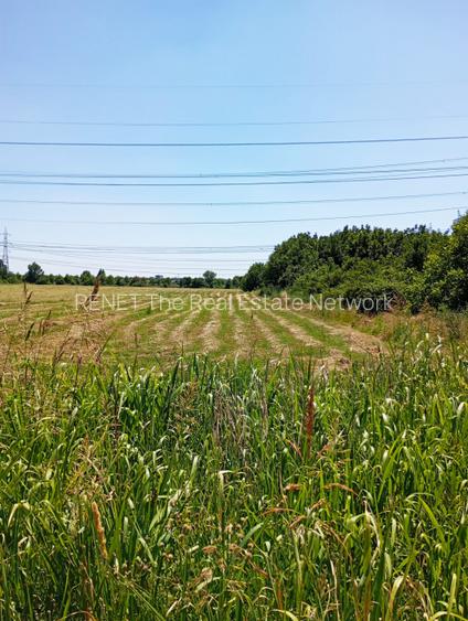 TEREN INTRAVILAN 8300 MP SECTOR 3 ZONA NICOLAE TECLU CEL MAI MIC PRET 431.600 Eu - 6