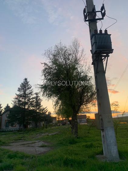 De Vânzare – Fermă de Pomi Fructiferi, 48,8 ha, Iancu Jianu, Jud. Olt - 15