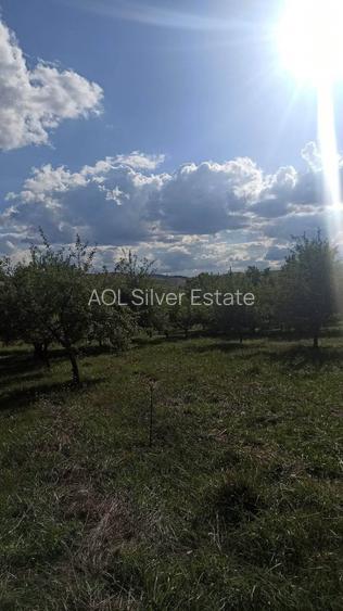 Casa de vacanta cu teren 1.2 ha - 2