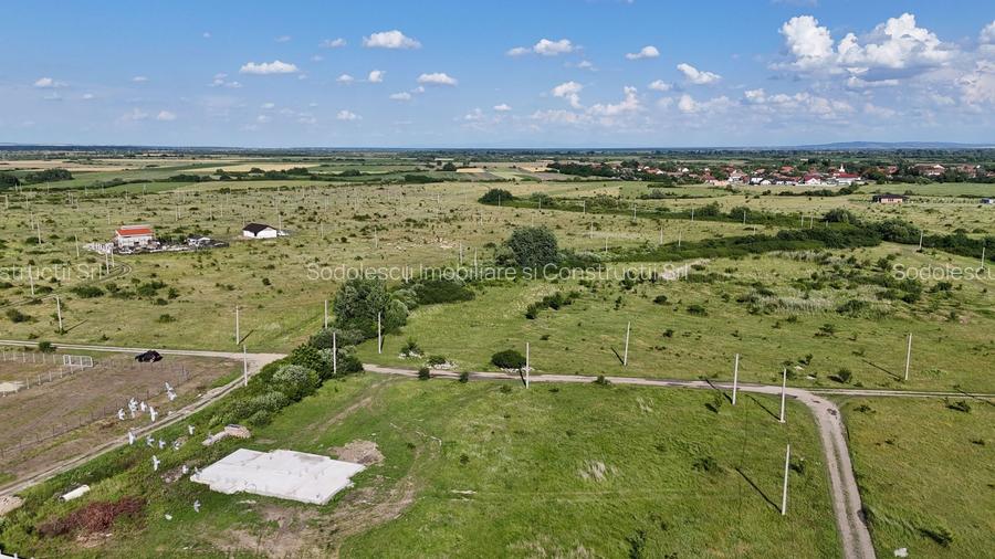 Terenuri zona  MOSNITA NOUA -  ALBINA . - 14