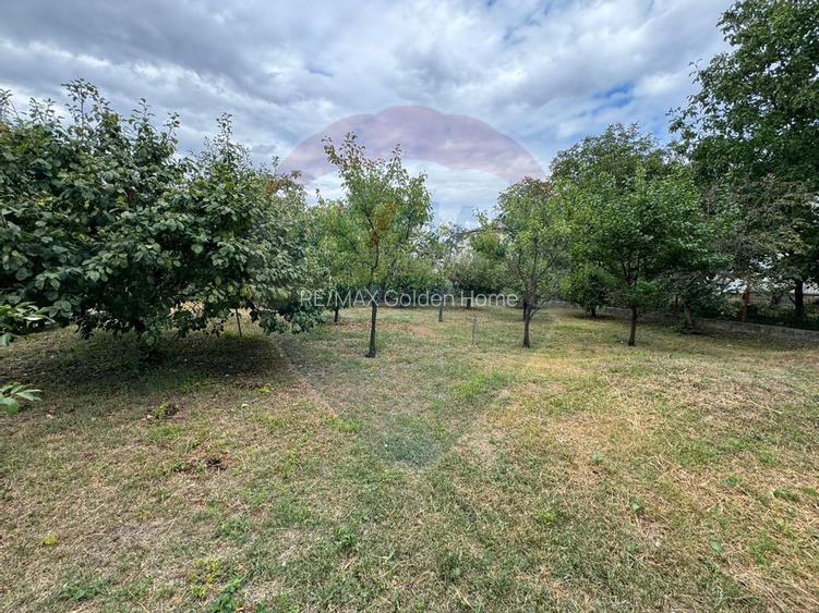 Casă / Vilă nouă cu 5 camere + casă bătranească renovată - 22